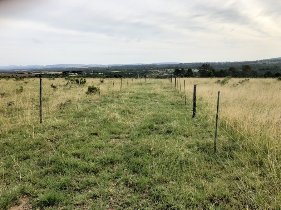 Commercial Property for Sale in Bathurst Rural Eastern Cape